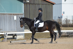 2022-Reitabzeichen-0069