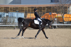 2022-Reitabzeichen-0073