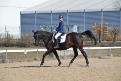 2022-Reitabzeichen-0077