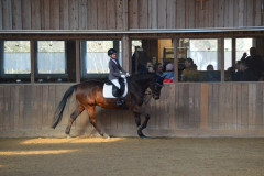 2022-Reitabzeichen-0081