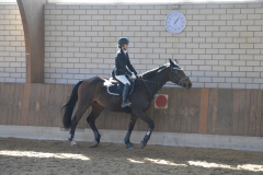 2022-Reitabzeichen-0089