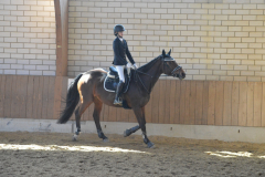 2022-Reitabzeichen-0090