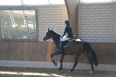 2022-Reitabzeichen-0091