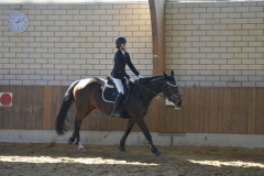 2022-Reitabzeichen-0093