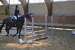 2022-Reitabzeichen-0100