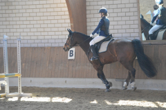2022-Reitabzeichen-0138