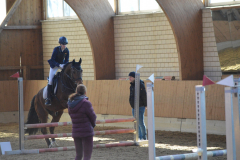 2022-Reitabzeichen-0139