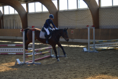 2022-Reitabzeichen-0147