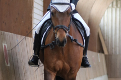 2022-Vereinsturnier-0004