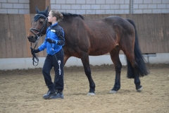 2022-Voltiabzeichen-0056