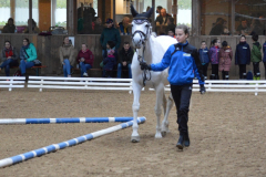 2022-Voltiabzeichen-0097
