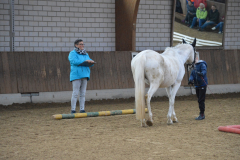 2022-Voltiabzeichen-0107