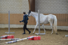 2022-Voltiabzeichen-0109