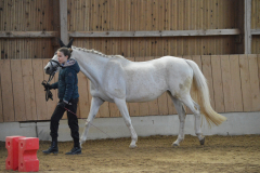 2022-Voltiabzeichen-0110
