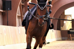 2022-Voltigierturnier-0243