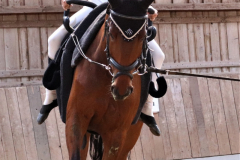 2022-Voltigierturnier-0380