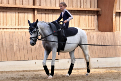 2022-Voltigierturnier-0453