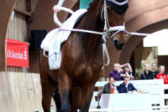 2025-Voltiturnier-0009