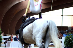 2025-Voltiturnier-0019