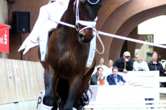 2025-Voltiturnier-0029