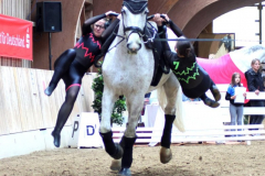 2025-Voltiturnier-0037