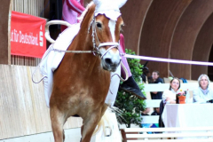 2025-Voltiturnier-0039