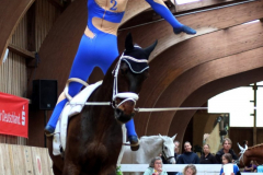 2025-Voltiturnier-0040