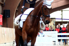 2025-Voltiturnier-0049