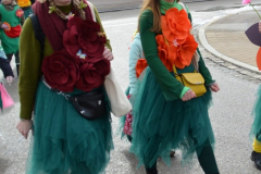 2026-Fasching-0015