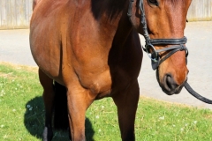 Escaleur003