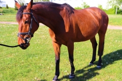 Escaleur004